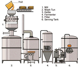 MicroBrewery Process